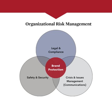 Risk Management Image for C Suite Insights